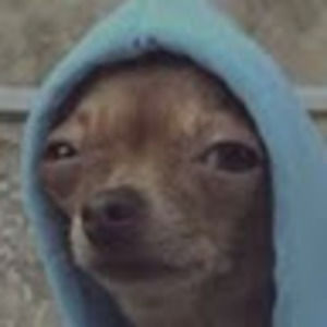 Meet your Posher, Colston